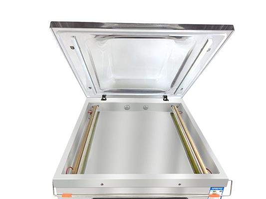 Spanning 220/110V DZ-400 Vacuümverpakkingsmachine voor vis, vlees, rundvlees en rijst