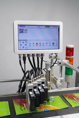 10 inch Touch Screen Online Carton Coder Vervaldatum Batch Code Printer met codering