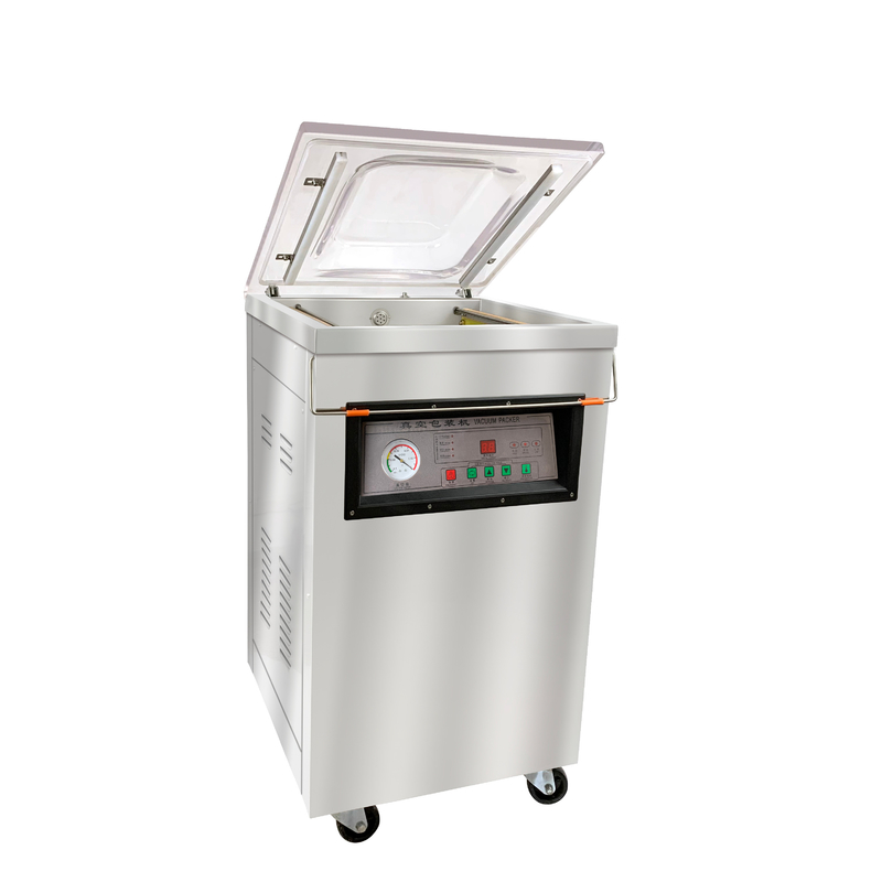Spanning 220/110V DZ-400 Vacuümverpakkingsmachine voor vis, vlees, rundvlees en rijst
